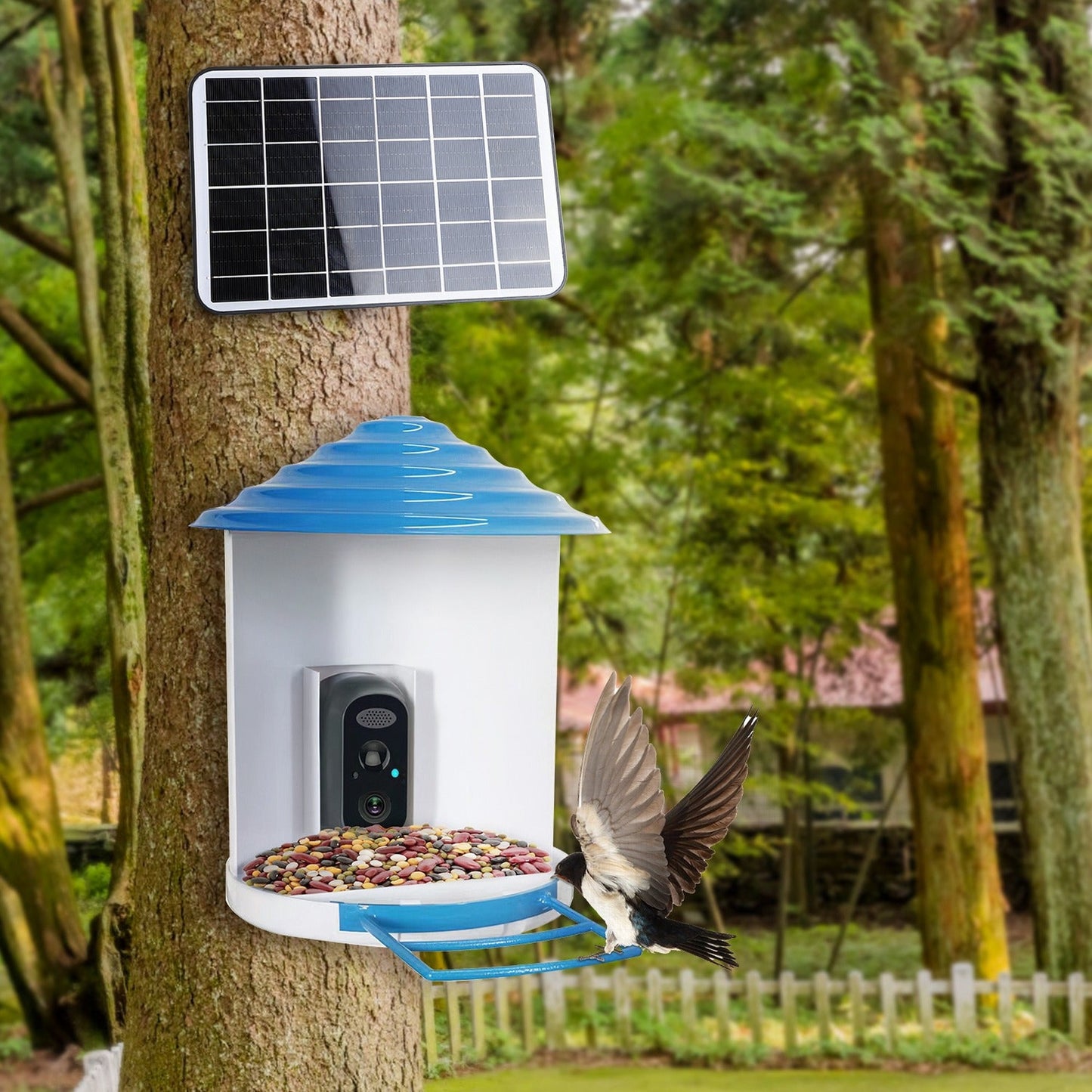 Smart Solar Bird Feeder with 1080p HD Camera and AI Motion Capture