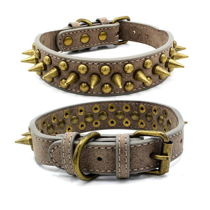 Bronze pointed rivet pet collar - Asmota