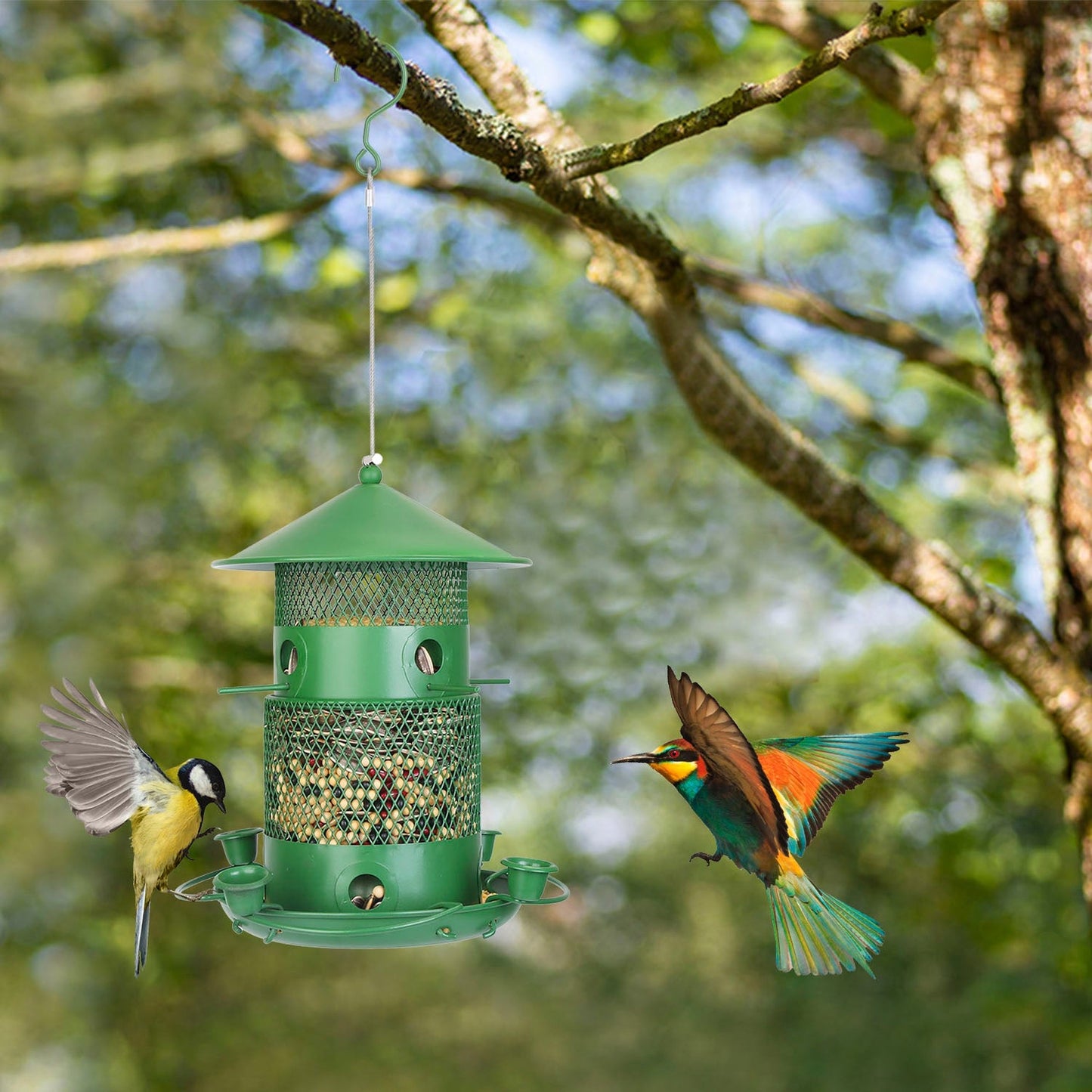 Green Metal Squirrel-Proof Wild Bird Feeder with 360° Perches