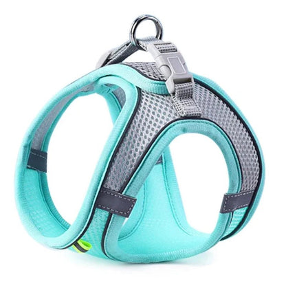 Cat Dog Harness Vest Chest Rope Set Reflective Breathable Adjustable Pet Harness for Small Medium Dogs Outdoor Walking - Asmota