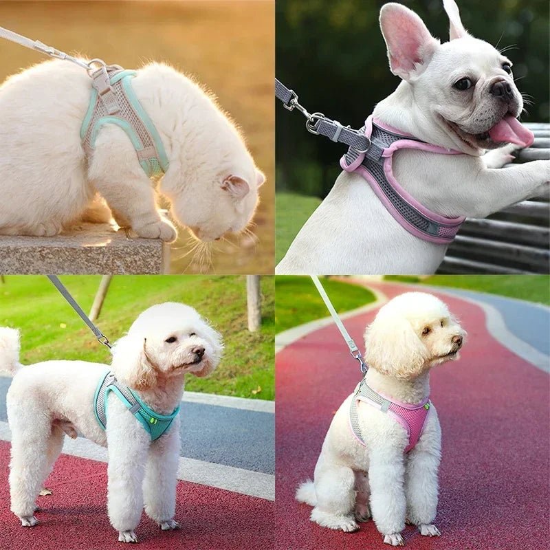 Cat Harness Leash Set Adjustable Dog Cat Collar for French Bulldog Harness Vest Puppy Chihuahua Pet Outdoor Walking Lead Leash - Asmota