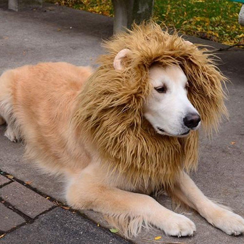 Cute Pet Cosplay Clothes Transfiguration Costume Lion Mane Winter Warm Wig Cat Large Dog Party Decoration With Ear Pet Apparel - Asmota