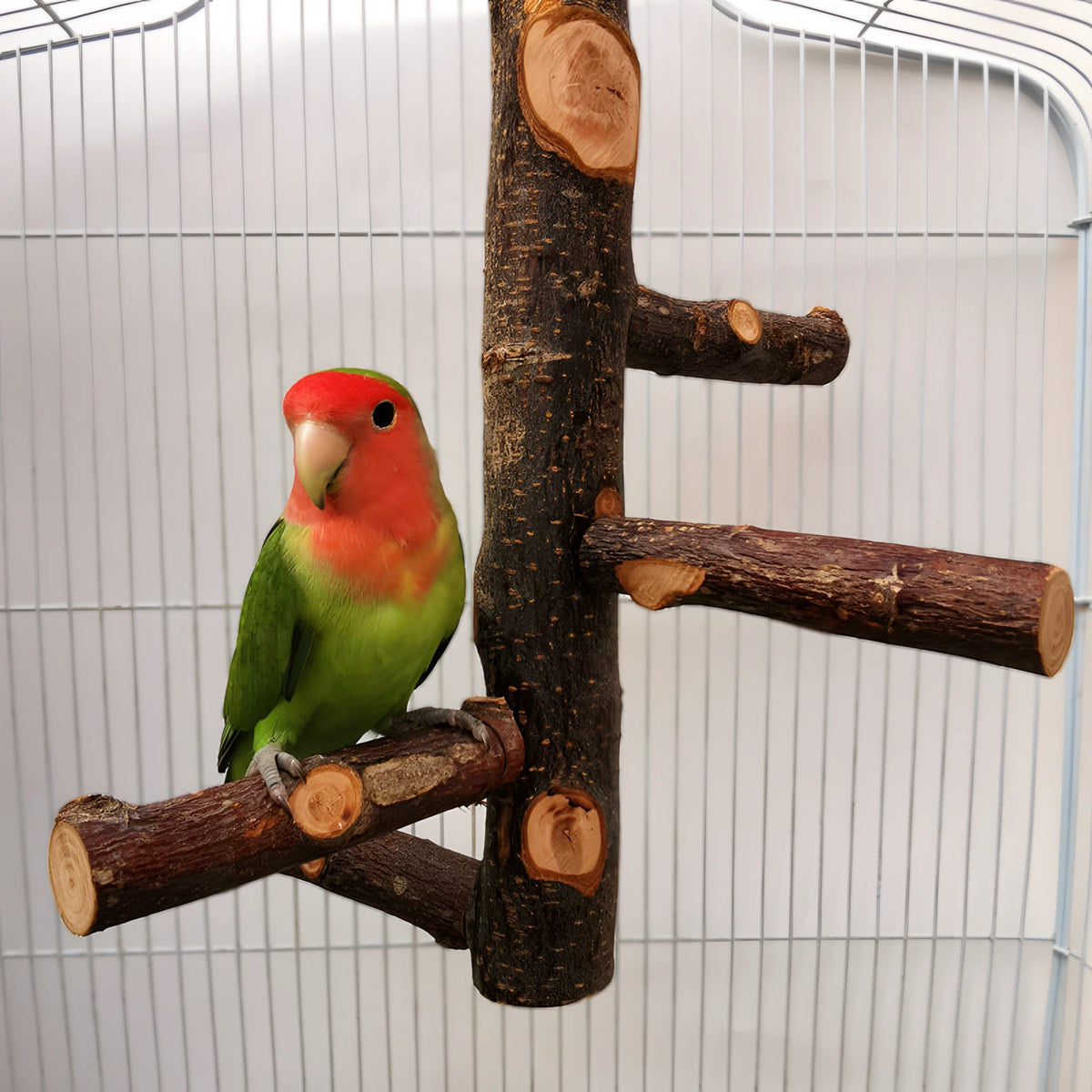 51cd689e8f6272f2814cf5b5df445e4c