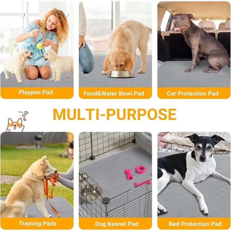 Dog Pee Pad Reusable Washable Dog Urine Mat Car Seat Floor Sofa Waterproof Absorbent Puppy Cat Training Diaper Mat Pet Supplies - Asmota