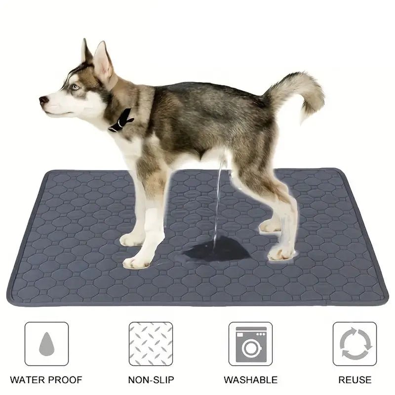 Dog Pee Pad Reusable Washable Dog Urine Mat Car Seat Floor Sofa Waterproof Absorbent Puppy Cat Training Diaper Mat Pet Supplies - Asmota