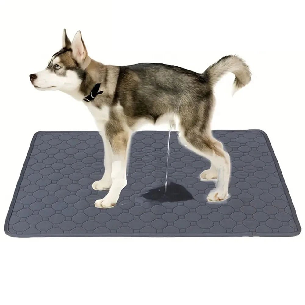 Dog Pee Pad Reusable Washable Dog Urine Mat Car Seat Floor Sofa Waterproof Absorbent Puppy Cat Training Diaper Mat Pet Supplies - Asmota