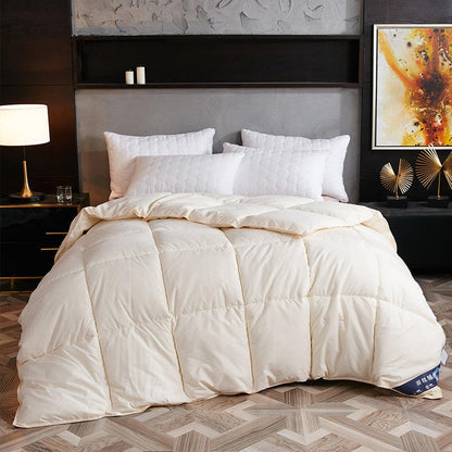 Down Duvet, Winter Duvet, Goose Down Duvet Core, Air Conditioner - Asmota