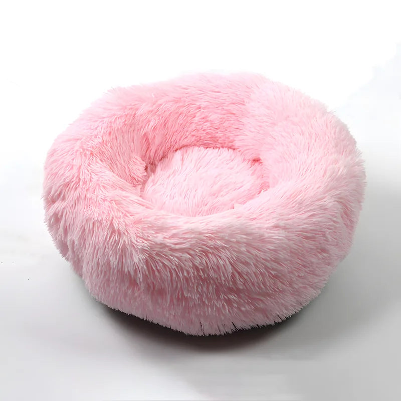 546bcfeb87eb38e6bd883b888c701d4c