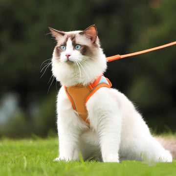 Reflective Anti Escape Cat Harness with Adjustable Rope