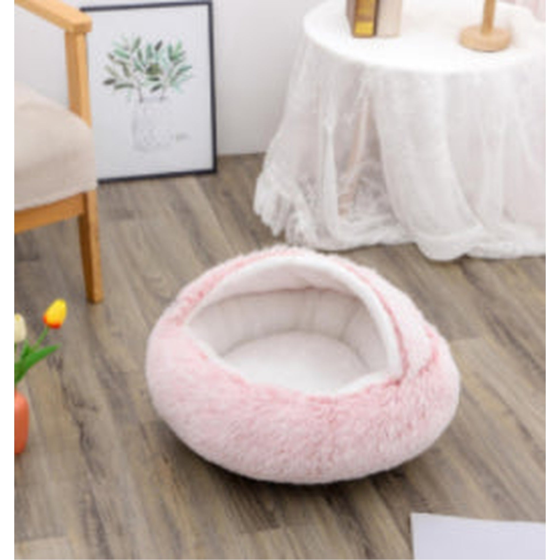 ce19d80591bedf5d32a988e22b84b6fc