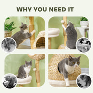 41 Inch Indoor Cat Tree with Wooden Scratching Posts and Condo Bed