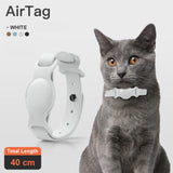 Anti-Lost Leather Dog Collar with Chain Case
