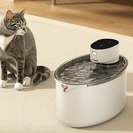 Wireless Smart Cat Water Fountain in Transparent Plastic