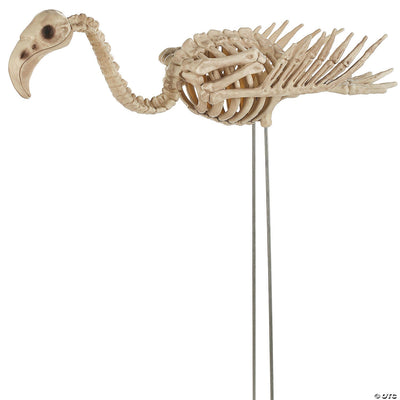 FLAMINGO SKELETON