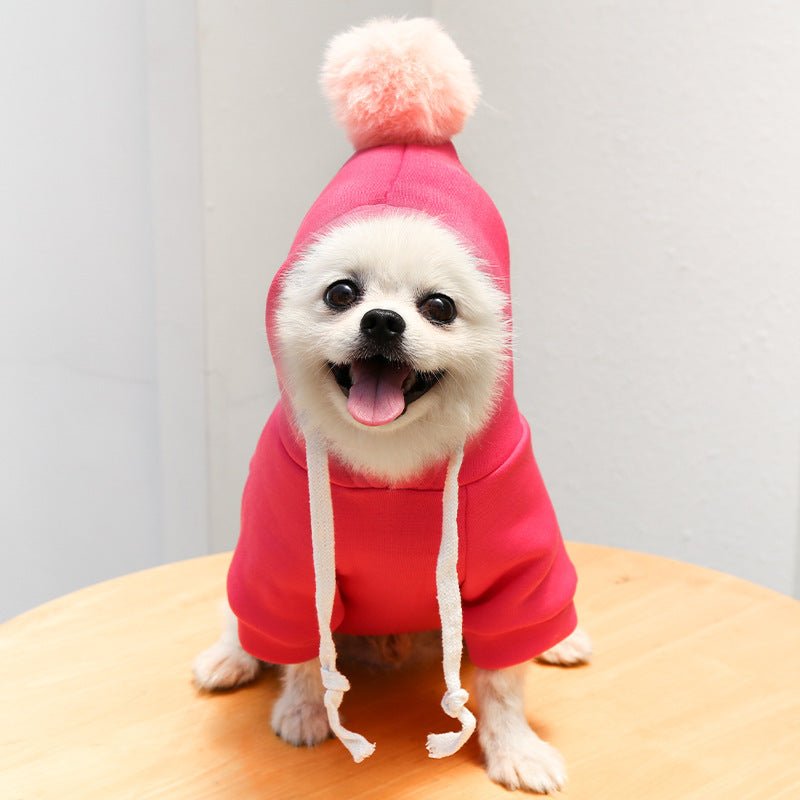 Fruit Dog Clothes Two - legged Hooded Outfits Green Fleece Clothing Autumn Winter Hoodies - Asmota