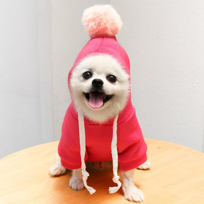 Fruit Dog Clothes Two - legged Hooded Outfits Green Fleece Clothing Autumn Winter Hoodies - Asmota