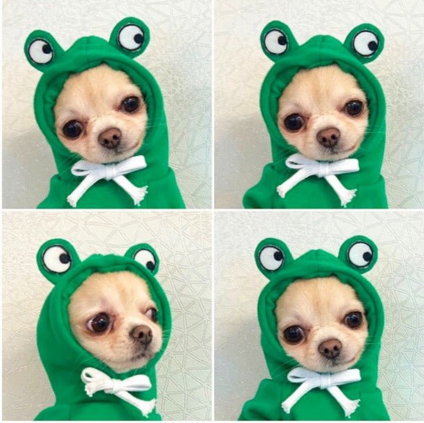 Fruit Dog Clothes Two - legged Hooded Outfits Green Fleece Clothing Autumn Winter Hoodies - Asmota