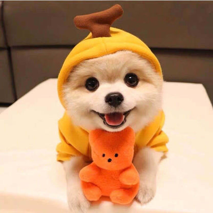 Fruit Dog Clothes Two - legged Hooded Outfits Green Fleece Clothing Autumn Winter Hoodies - Asmota