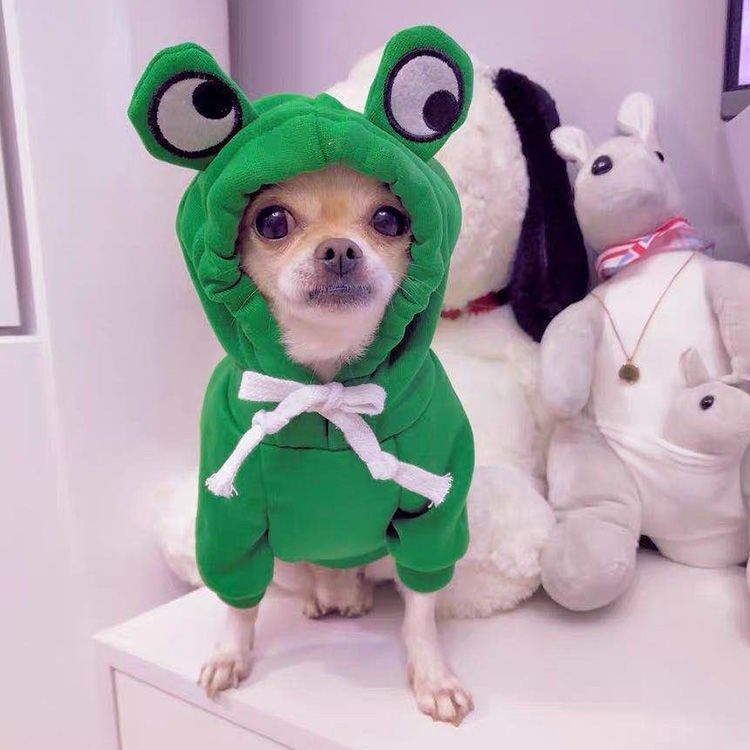 Fruit Dog Clothes Two - legged Hooded Outfits Green Fleece Clothing Autumn Winter Hoodies - Asmota