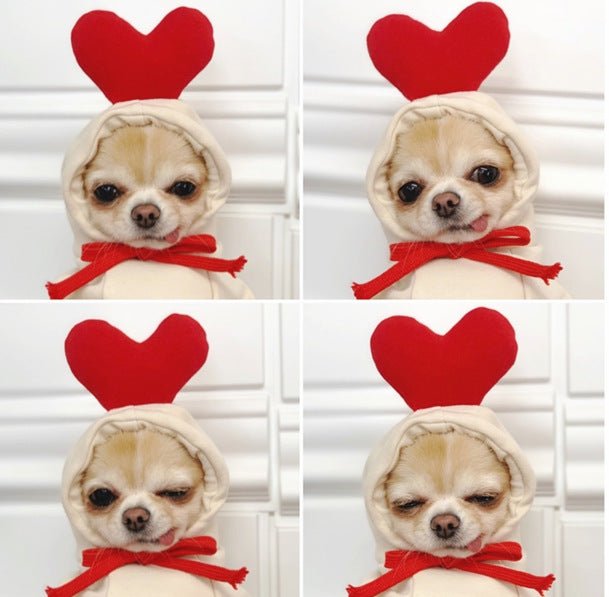 Fruit Dog Clothes Two - legged Hooded Outfits Green Fleece Clothing Autumn Winter Hoodies - Asmota