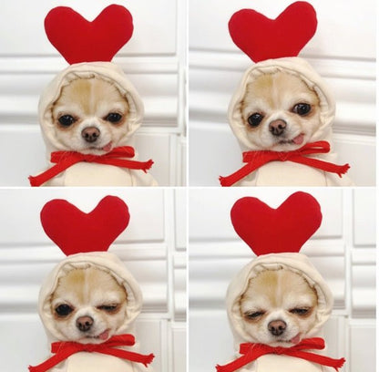 Fruit Dog Clothes Two - legged Hooded Outfits Green Fleece Clothing Autumn Winter Hoodies - Asmota