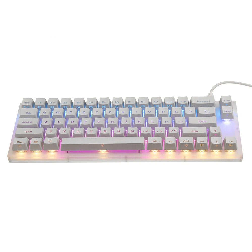 GamaKay K66 Mechanical Keyboard 66 Keys Gateron Switch Hot Swappable Tyce - C Wired RGB Backlit Gaming Keyboard with Crystalline Base for PC Laptop - Asmota
