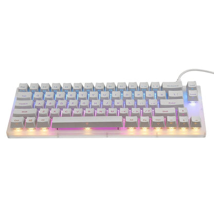 GamaKay K66 Mechanical Keyboard 66 Keys Gateron Switch Hot Swappable Tyce - C Wired RGB Backlit Gaming Keyboard with Crystalline Base for PC Laptop - Asmota