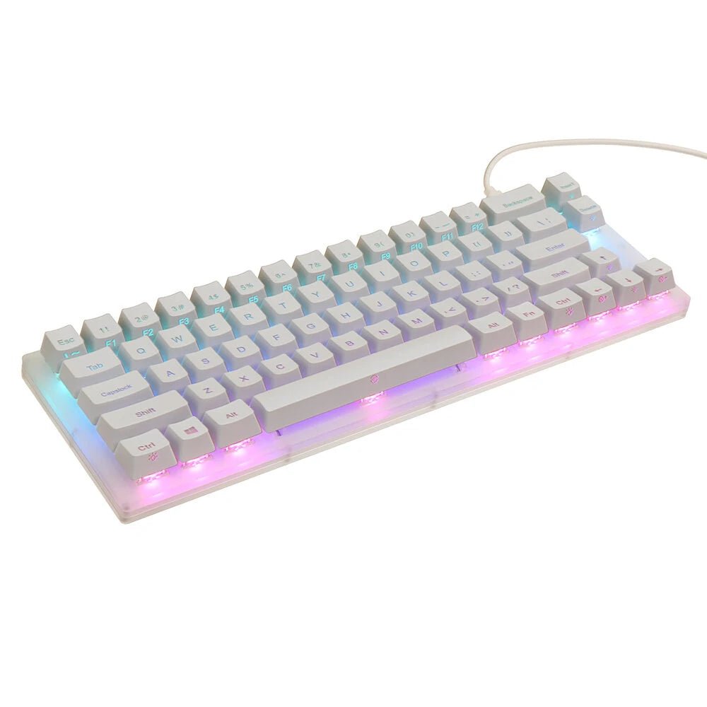 GamaKay K66 Mechanical Keyboard 66 Keys Gateron Switch Hot Swappable Tyce - C Wired RGB Backlit Gaming Keyboard with Crystalline Base for PC Laptop - Asmota