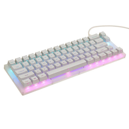 GamaKay K66 Mechanical Keyboard 66 Keys Gateron Switch Hot Swappable Tyce - C Wired RGB Backlit Gaming Keyboard with Crystalline Base for PC Laptop - Asmota