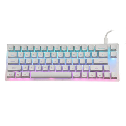 GamaKay K66 Mechanical Keyboard 66 Keys Gateron Switch Hot Swappable Tyce - C Wired RGB Backlit Gaming Keyboard with Crystalline Base for PC Laptop - Asmota