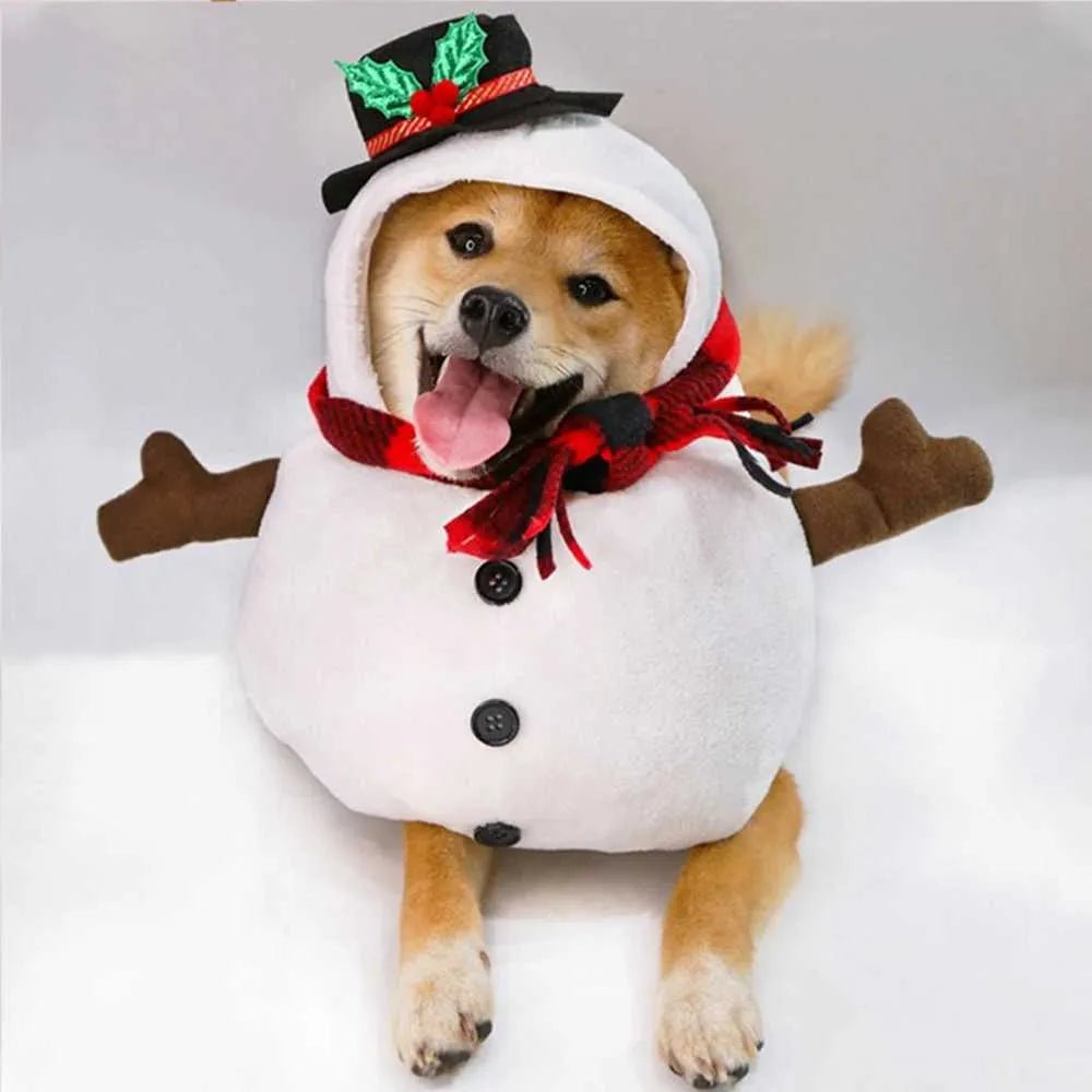 Halloween dog costume fun pet dog role - playing costume set Christmas dog costume comic costume pet cat puppy party costume Y240106 - Asmota