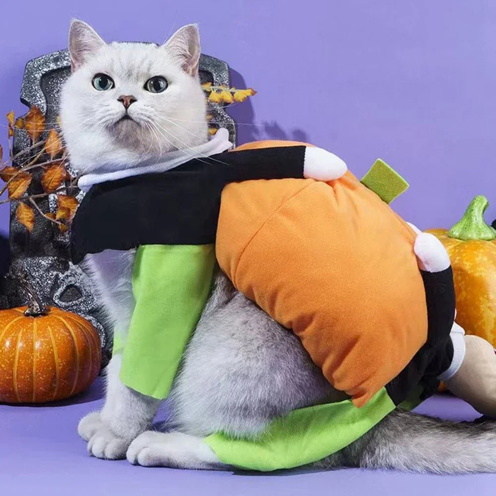 Halloween Funny Pet Clothes Cat Pet Pumpkin Costume Special Party Roll Play Waistcoat Suit Dog Cute Carrier Pumpkin Clothing - Asmota