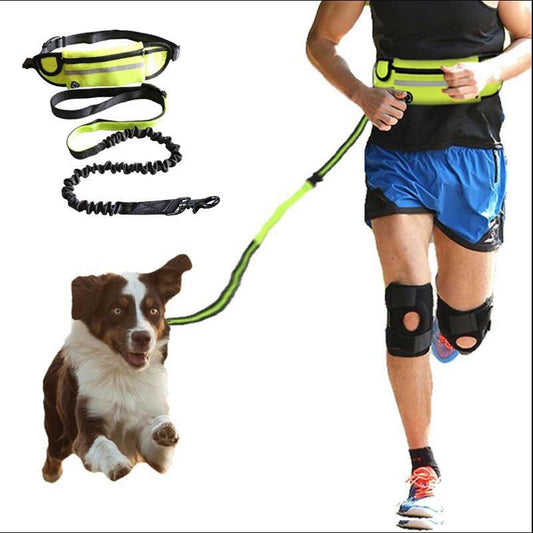 Hands Free Dog Leash Pet Walking And Training Belt With Shock Absorbing Bungee Leash For Up To 180lbs Large Dogs Phone Pocket And Water Bottle Holder - Asmota