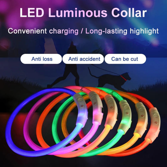 Led Light Dog Collar Detachable Glowing USB Charging Luminous Leash for Big Cat Collar Small Bright Labrador Pets Dogs Products - Asmota