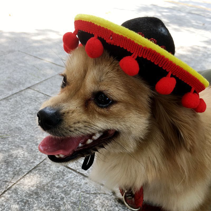 Mexican Style Pet Hat Dog Hat Pet Supplies - Asmota