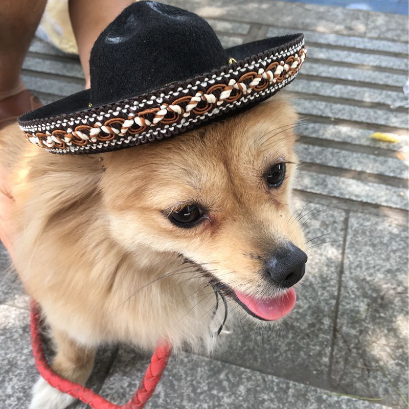 Mexican Style Pet Hat Dog Hat Pet Supplies - Asmota