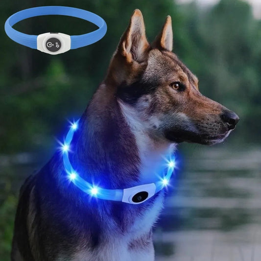 New Led Luminous Dog Collar PVC Waterproof , For Large Medium Small Dogs Collar Usb Light Night Safety Pet Glowing Accessories - Asmota