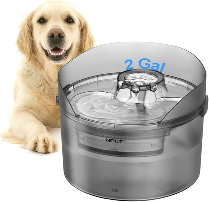 NPET Dog Water Fountain, 2 Gallon/270oz/8L Large Automatic Dog Water Dispenser with Splatter Guard for Large Dogs Multiple Pets - Asmota