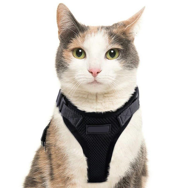 PawProwl - Walking Cat Harness - Asmota