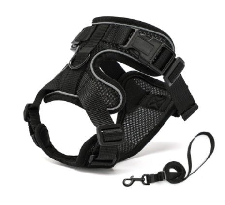 PawProwl - Walking Cat Harness - Asmota
