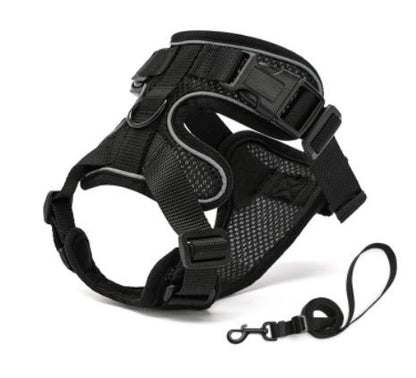 PawProwl - Walking Cat Harness - Asmota