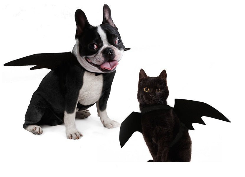 Pet bat wings clothes - Asmota