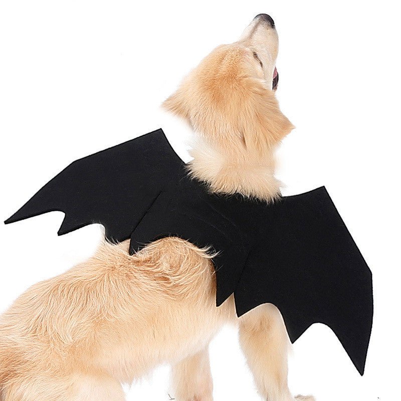 Pet bat wings clothes - Asmota