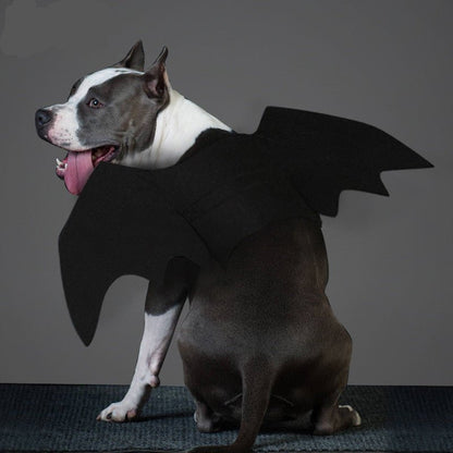 Pet bat wings clothes - Asmota