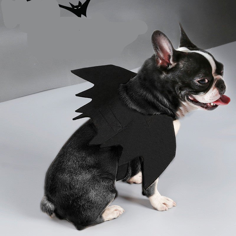 Pet bat wings clothes - Asmota