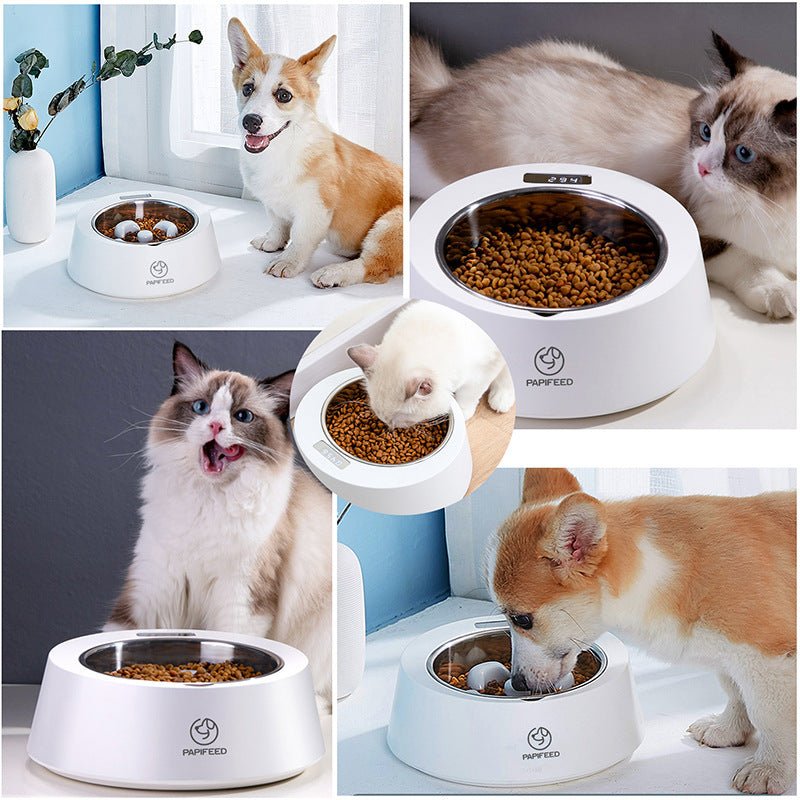 Pet Dog Bowl Slow Feeder Dog Food Bowl Smart Weighing Dog Slow Feeder Cat Pet Feeder - Asmota