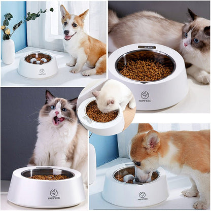 Pet Dog Bowl Slow Feeder Dog Food Bowl Smart Weighing Dog Slow Feeder Cat Pet Feeder - Asmota