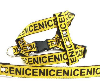 Pet Leash Dog Collar Dog Leash - Asmota