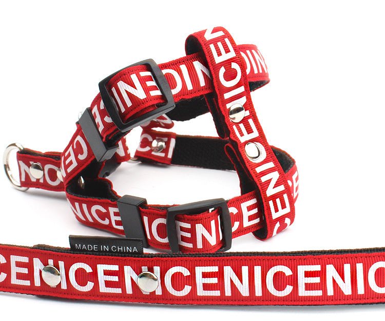 Pet Leash Dog Collar Dog Leash - Asmota