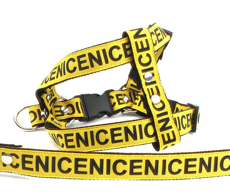 Pet Leash Dog Collar Dog Leash - Asmota